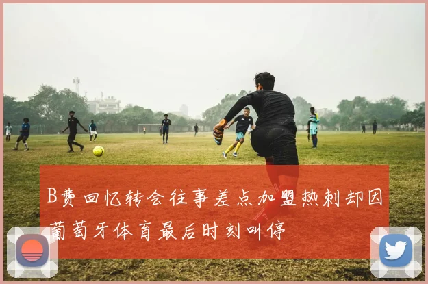 B费回忆转会往事差点加盟热刺却因葡萄牙体育最后时刻叫停
